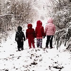 Meet your Posher, Janice